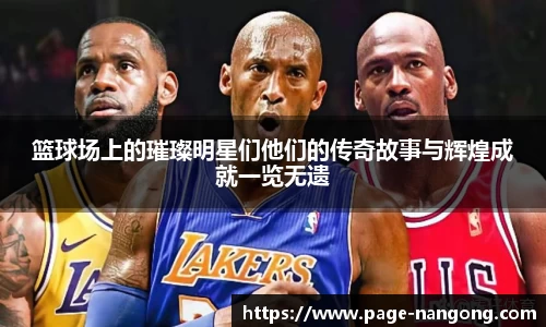 ng体育官网